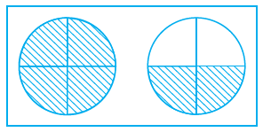 Page 67 Chapter 4 Class 6th NCERT Exemplar